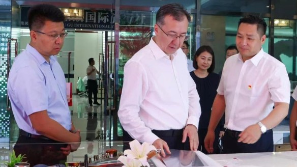 新疆维吾尔自治区领导伊力扎提·艾合买提江莅临j9国际站官网首页直达温泉城视察指导